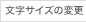 TCY̕ύX