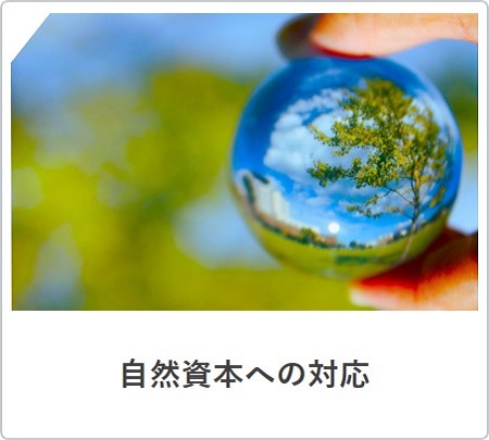 画像：自然資本への対応
