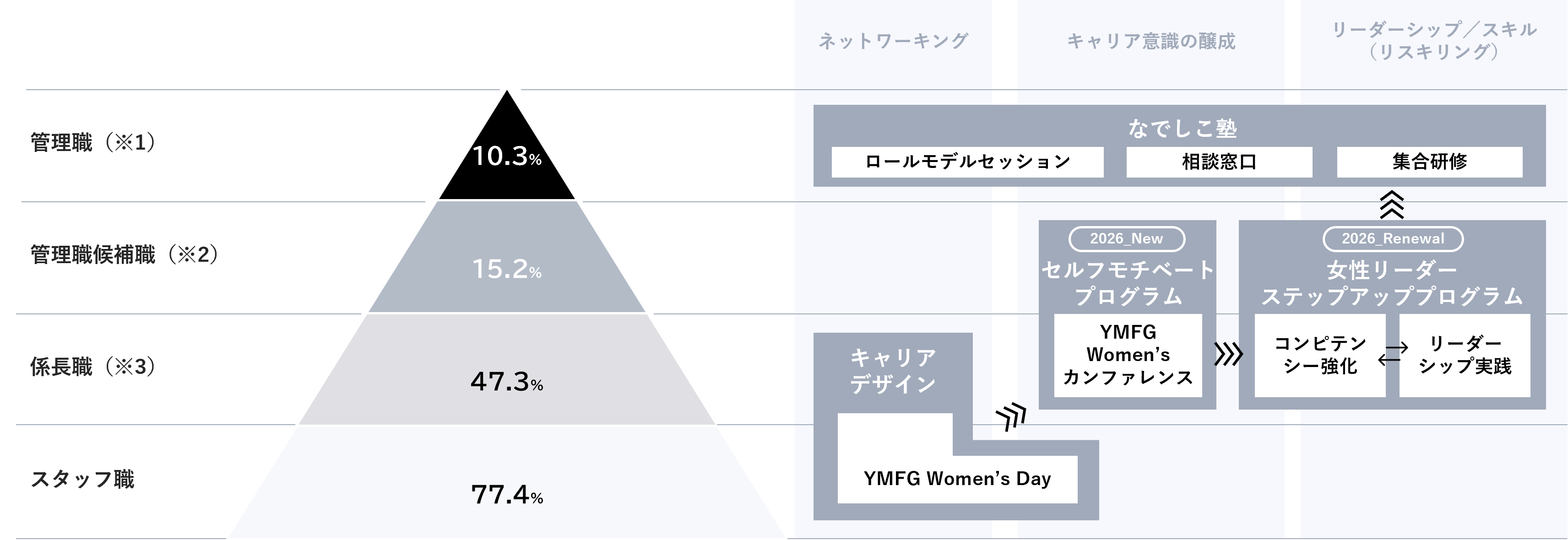 職階別女性比率（2025年度末基準）と対応するプログラム