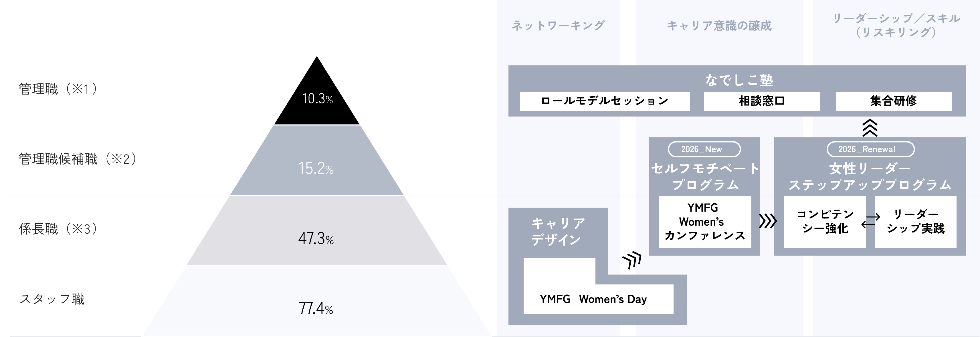 職階別女性比率（2025年度末基準）と対応するプログラム