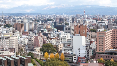 協力企業での研鑽