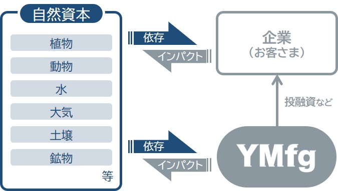 YMFGの自然資本への関わり方イメージ図